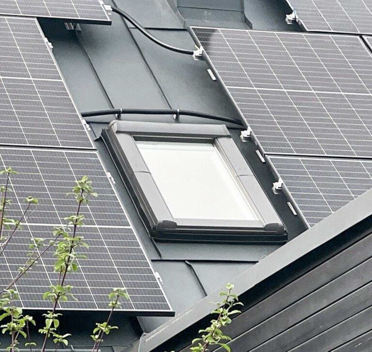 Nahaufnahme eines Dachfensters, das von mehreren Sonnenkollektoren umgeben ist; im Vordergrund sind einige Zweige mit grünen Blättern zu sehen.